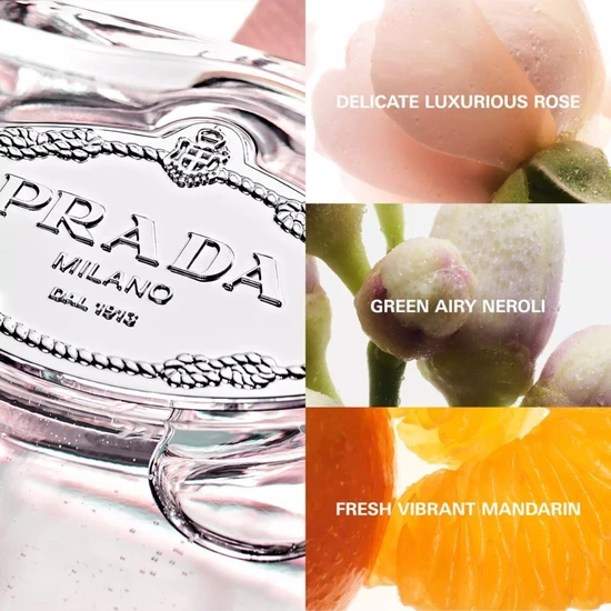 Prada Infusion De Rose Eau De Parfum 100ml