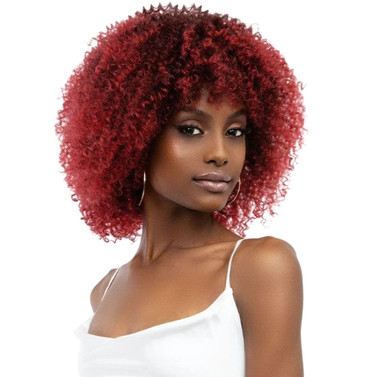 Janet Collection Natural Curly Natural Afro Leon Synthetic Wig