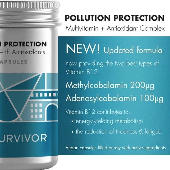 City Survivor Pollution Protection