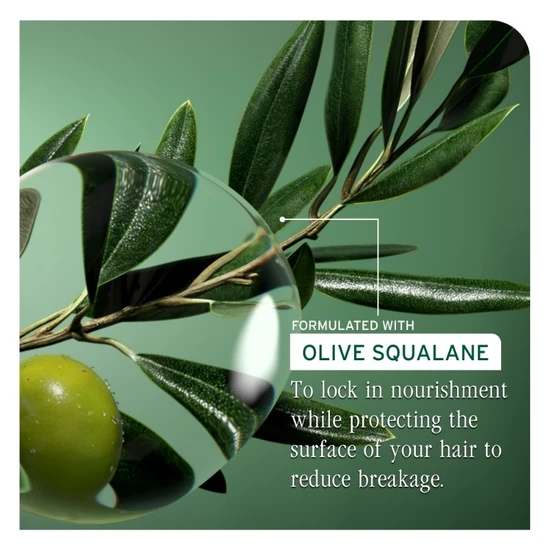 Biolage Strength Recovery Shampoo 400ml