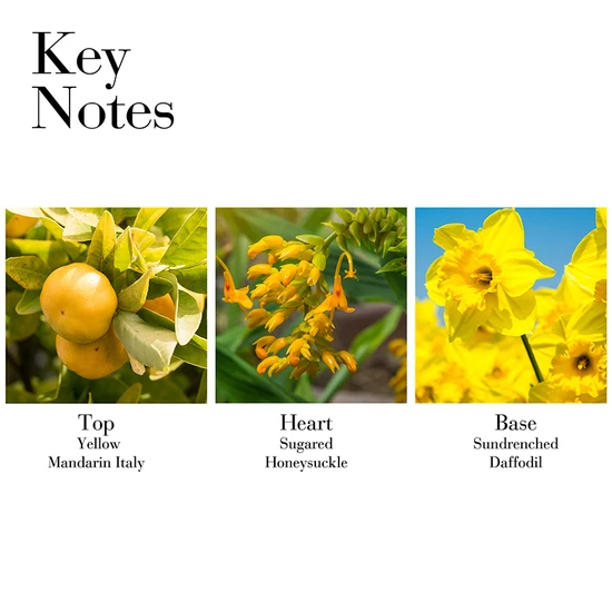 Elizabeth Arden Sunflowers Sunrise Eau De Toilette 100ml