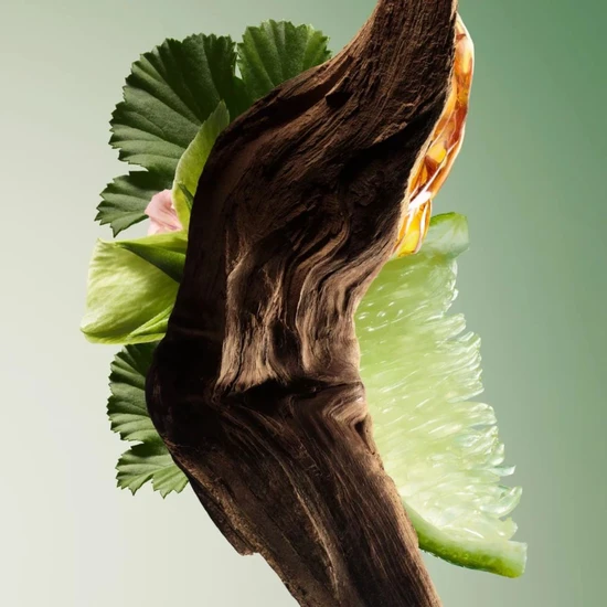 Prada Paradigme Eau De Parfum 50ml