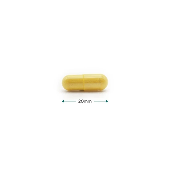 Cytoplan Immune Complete Capsules 60 Capsules