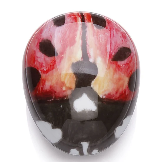 Kent Brushes Pebble Ladybug Brush