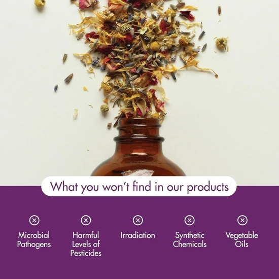 NOW Foods Essential Oil Roll-On Seasonal Defence 10ml