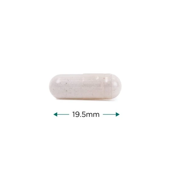 Cytoplan B12 Methylcobalamin & Adenosylcobalamin Sublingual Tablets 60 Tablets