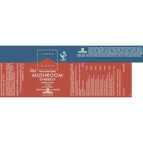 Terranova Mushroom Synergy Super-Blend Powder 40g