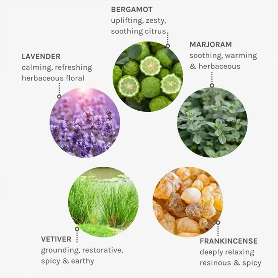 Evolve Beauty Zen Whisper Pulse Point Roller 10ml