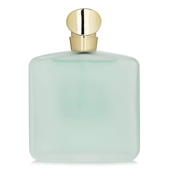 Giorgio Armani Acqua Di Gio Eau De Toilette 100ml