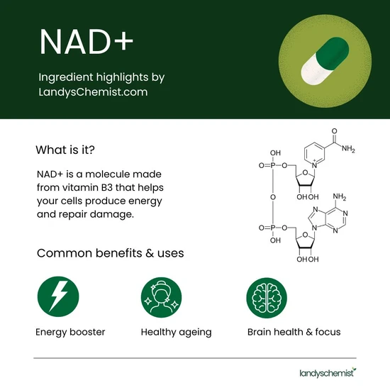 NMN Bio NAD+ Brain Capsules 90 Capsules