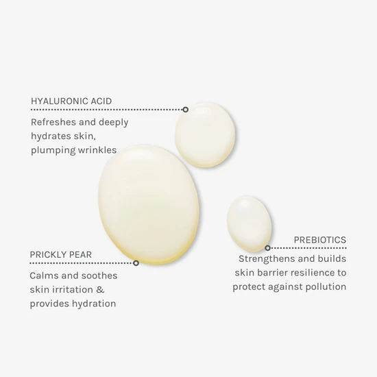 Evolve Beauty Daily Defence Moisture Mist Toner 100ml