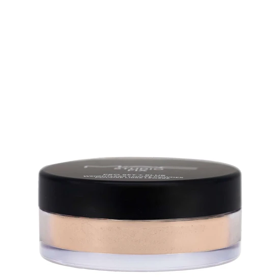 MAC Studio Fix Pro Set + Blur Weightless Loose Powder Light