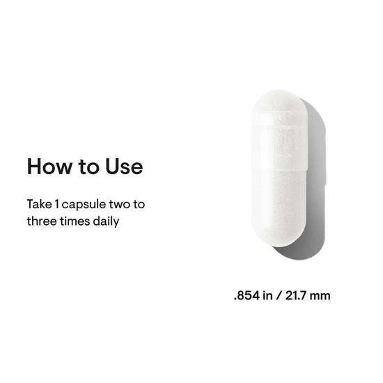 Thorne Bacillus Coagulans Capsules 60 Capsules