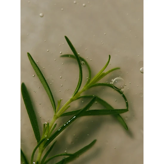 AROMATICA Rosemary Shampoo 400ml
