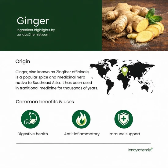 Botanicals4Life Botanicals For Life Organic Ginger Root Extract 50ml