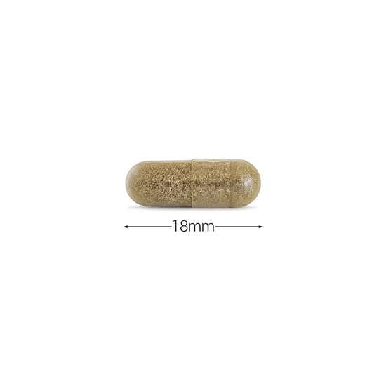 Cytoplan Gymnema Sylvestre Capsules 60 Capsules
