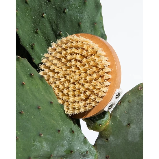 Legology Lymph-Lite Dry Body Brush