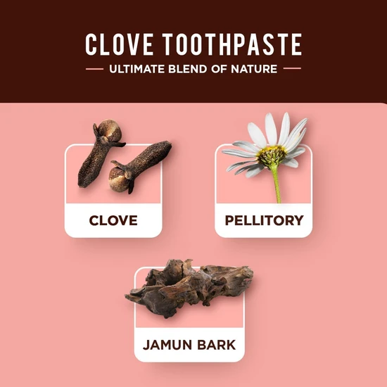 Dabur Cavity Protection Clove Toothpaste 100ml