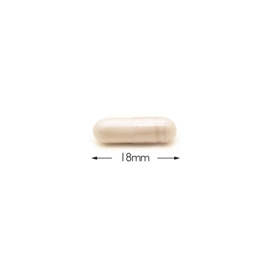 Cytoplan Blood Glucose Support Wholefood Capsules 60 Capsules