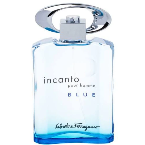 Salvatore Ferragamo Incanto Pour Homme Blue Eau De Toilette 100ml