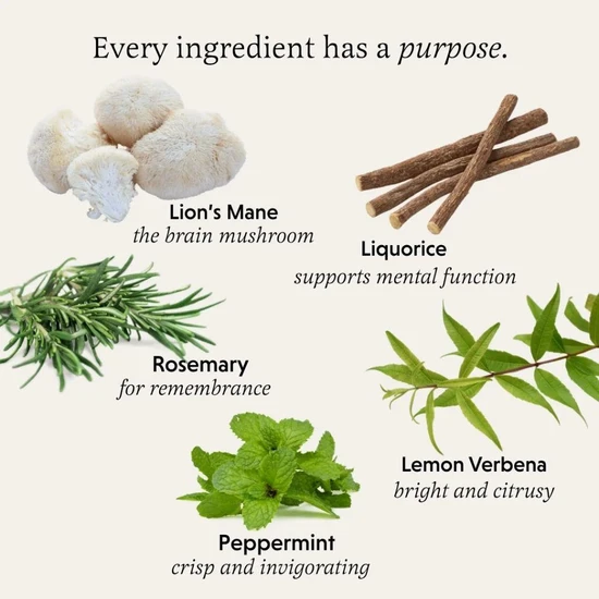 The Herbtender Pure Focus Organic Herbal Teabags 72 Teabags