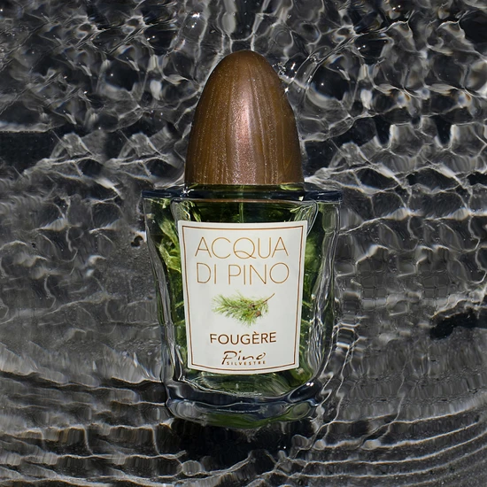 Pino Silvestre Acqua Di Pino Fougere Eau De Toilette 125ml