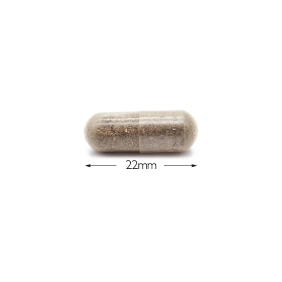 Cytoplan CytoProtect Kidneys Capsules 60 Capsules