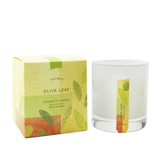 Thymes Aromatic Candle Olive Leaf 212g