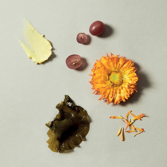 Holidermie Antioxidant Hand Cream 30ml