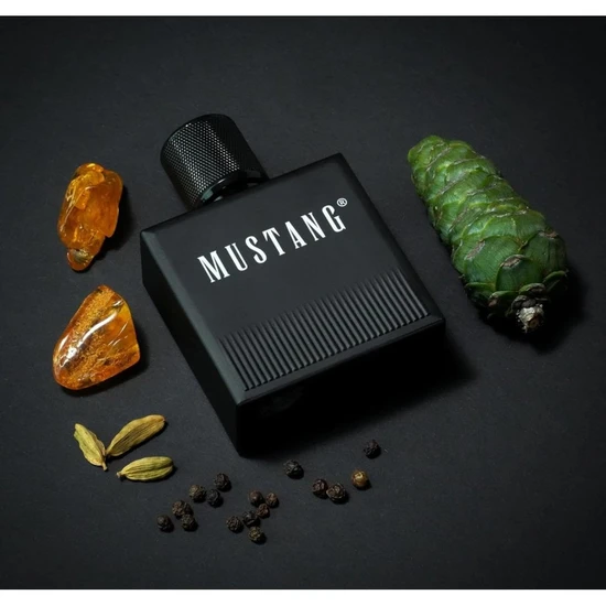 Mustang Black Signature Eau De Toilette 50ml