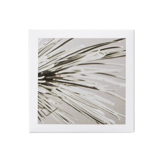 Korres White Pine Deep Wrinkle, Plumping + Age Spot Concentrate 30ml