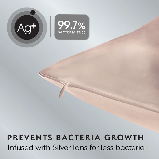 Silver Cloud Satin Pillowcase Twinpack Caramel
