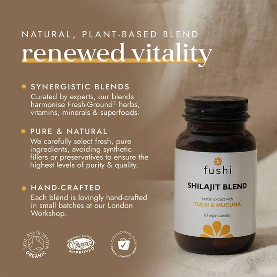 Fushi Natural Energy Supplements Shilajit Blend 60 Capsules