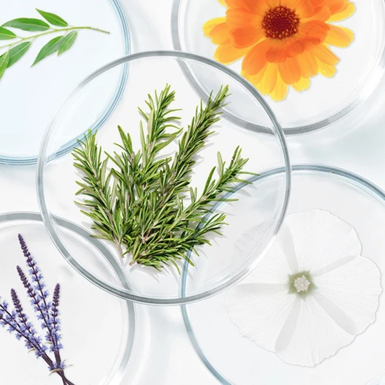 PHYTO Scalp Polleine Fortifying Balancing Concentrate 30ml