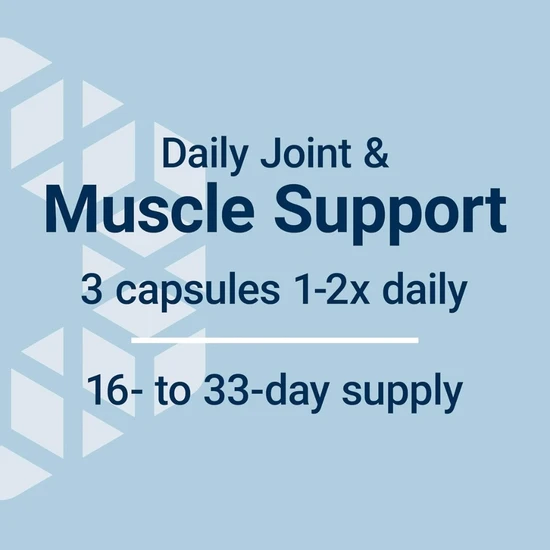 Life Extension MSM 1000mg 100 Caps