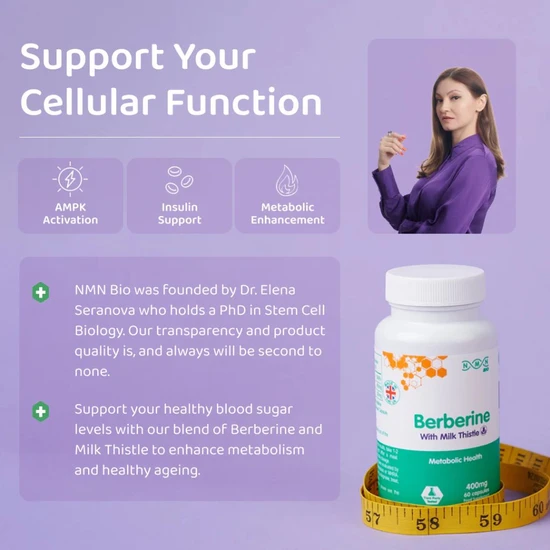 NMN Bio Berberine With Milk Thistle Capsules 60 Capsules