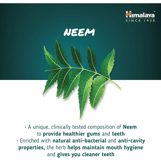 Himalaya Herbals Ayurvedic Dental Cream Toothpaste With Neem 100g