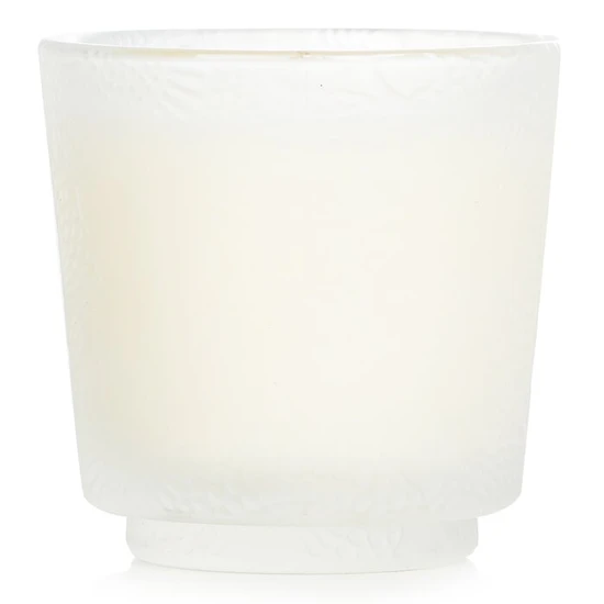 VOLUSPA Petite Pedestal Candle Spiced Goji Tarocco Orange 72g