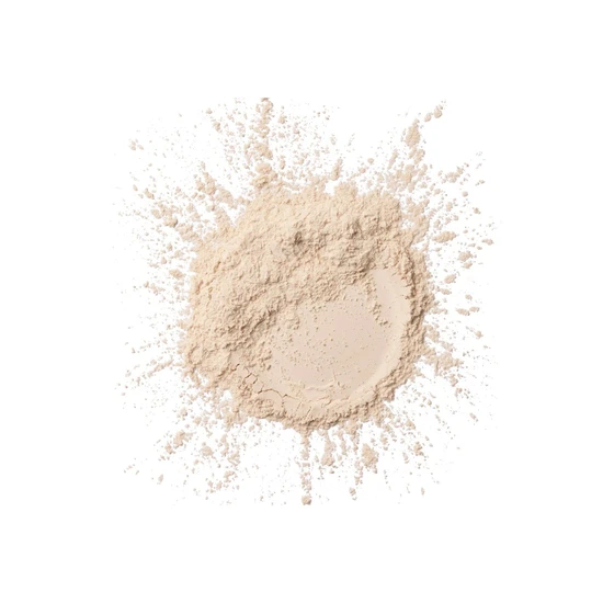 Wet N Wild Photo Focus Loose Setting Powder Translucent