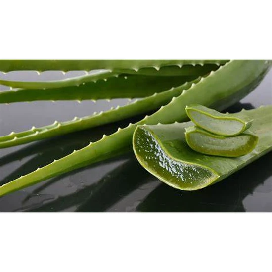Strictly Professional Aloe Vera Gel 500ml