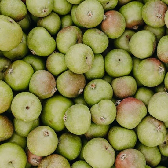 Rausch Anti-Pollution Spray 200ml