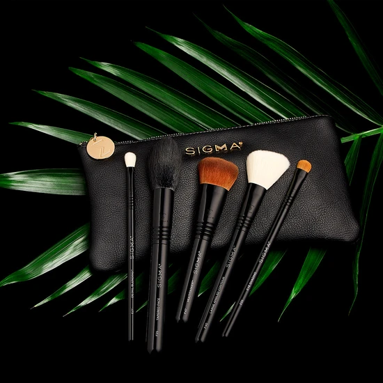 Sigma Beauty Multitask Brush Set