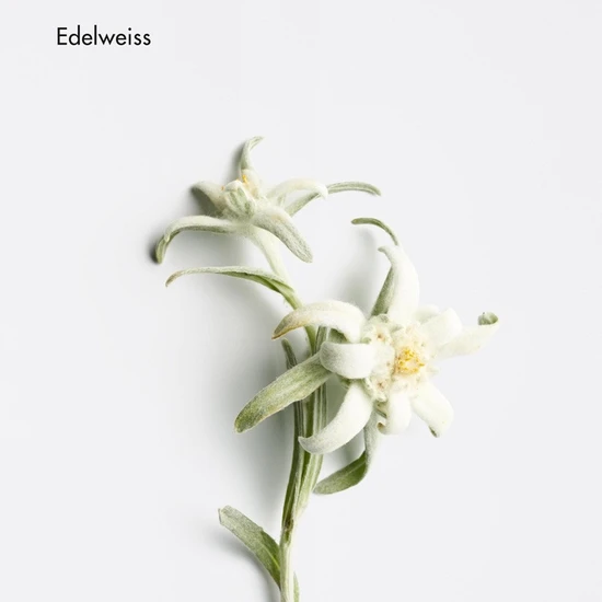 La Biosthetique Revitalising Lipid Cream 50ml