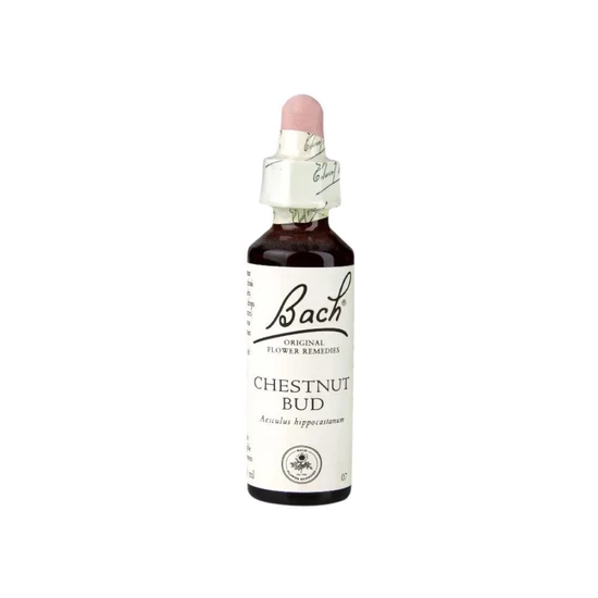 Bach Original Flower Remedies Chestnut Bud 20ml