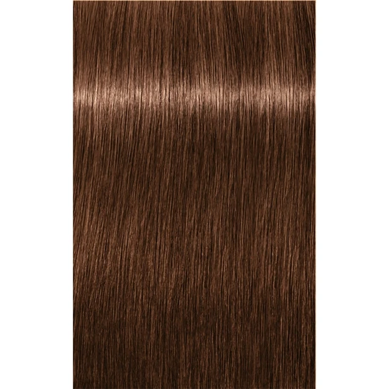 Schwarzkopf Igora Royal Permanent Hair Colour 6-6 Dark Blonde Chocolate