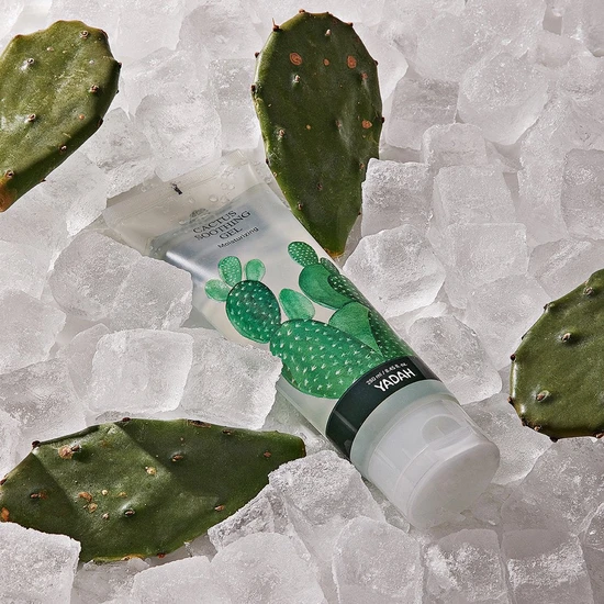Yadah Cactus Soothing Gel 105ml