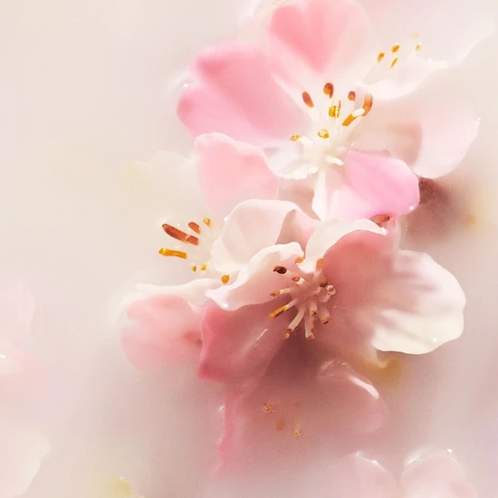 Rituals Sakura Set