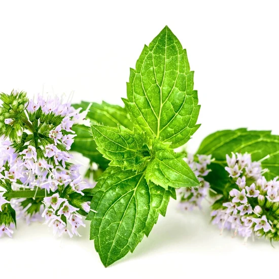 L'Anza Healing Style Dramatic Effects 350ml