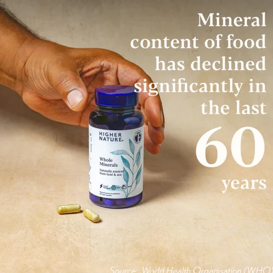 Higher Nature Botanical & Mineral Complex Tablets 90 Tablets
