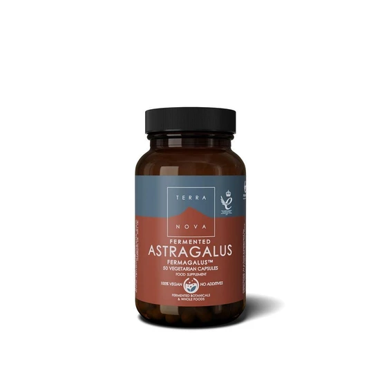 Terranova Fermented Astragalus Fermagalus Capsules 50 Capsules